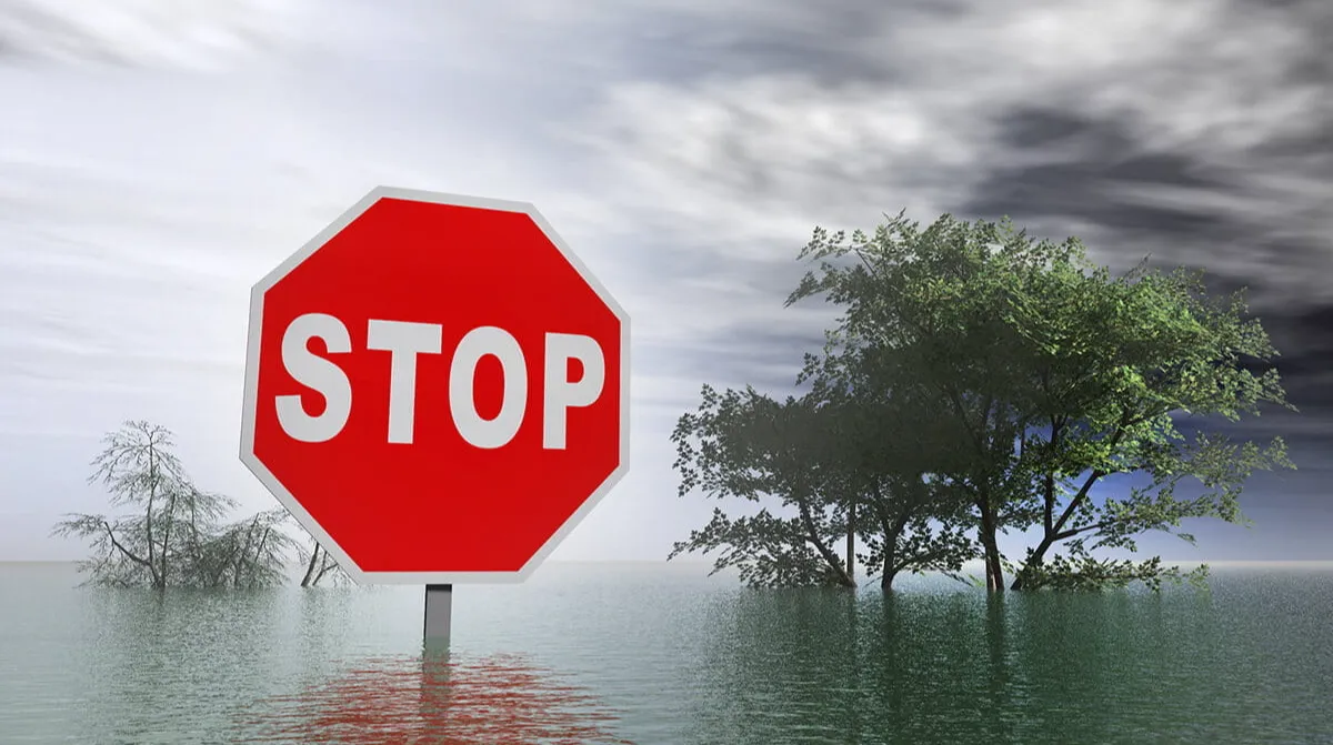 Understanding Medicare Special Enrollment Periods in Hawaii